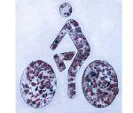 Signalétique Vélo & Piéton